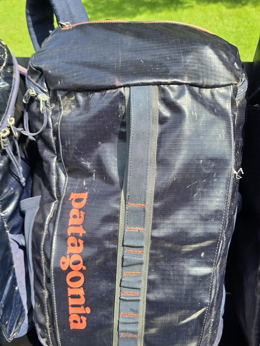 Patagonia Glossy Tpu Bags
